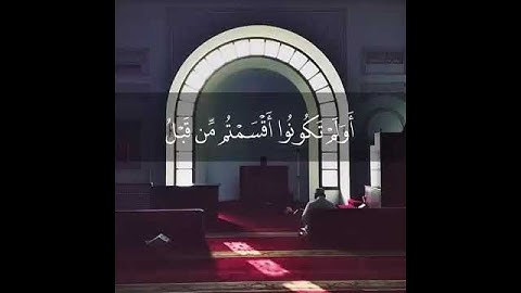 القارئ الشيخ نايف الفيصل/حالات واتس اب قرآن كريم
