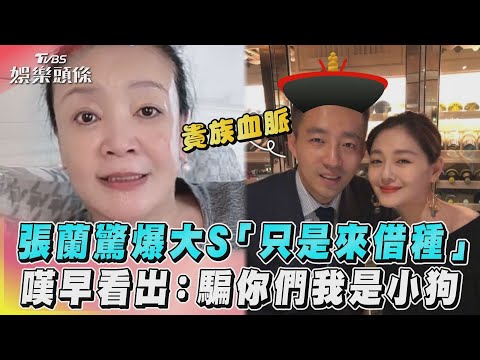 張蘭驚爆大S「只是來借種」 嘆早看出：騙你們我是小狗｜TVBS娛樂頭條