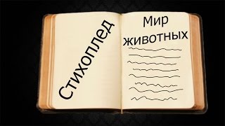 Стихотворение "Мир животных" Стихотворение "Мир животных"