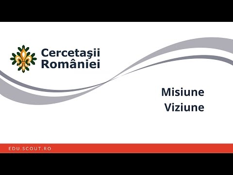 IC01 - Misiune și viziune