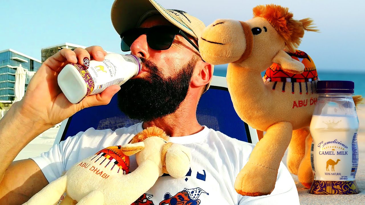 Камилско мляко снощи в Абу Даби пих и капка не остана - YouTube