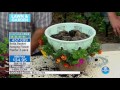 HSN | Garden Inspirations by Meadow Valley 03.25.2017 - 08 AM