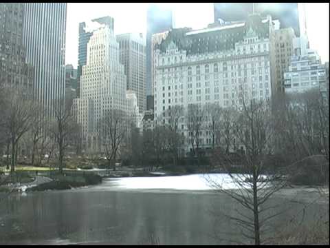 76-Second Travel Show: "Holden's Central Park Ducks"