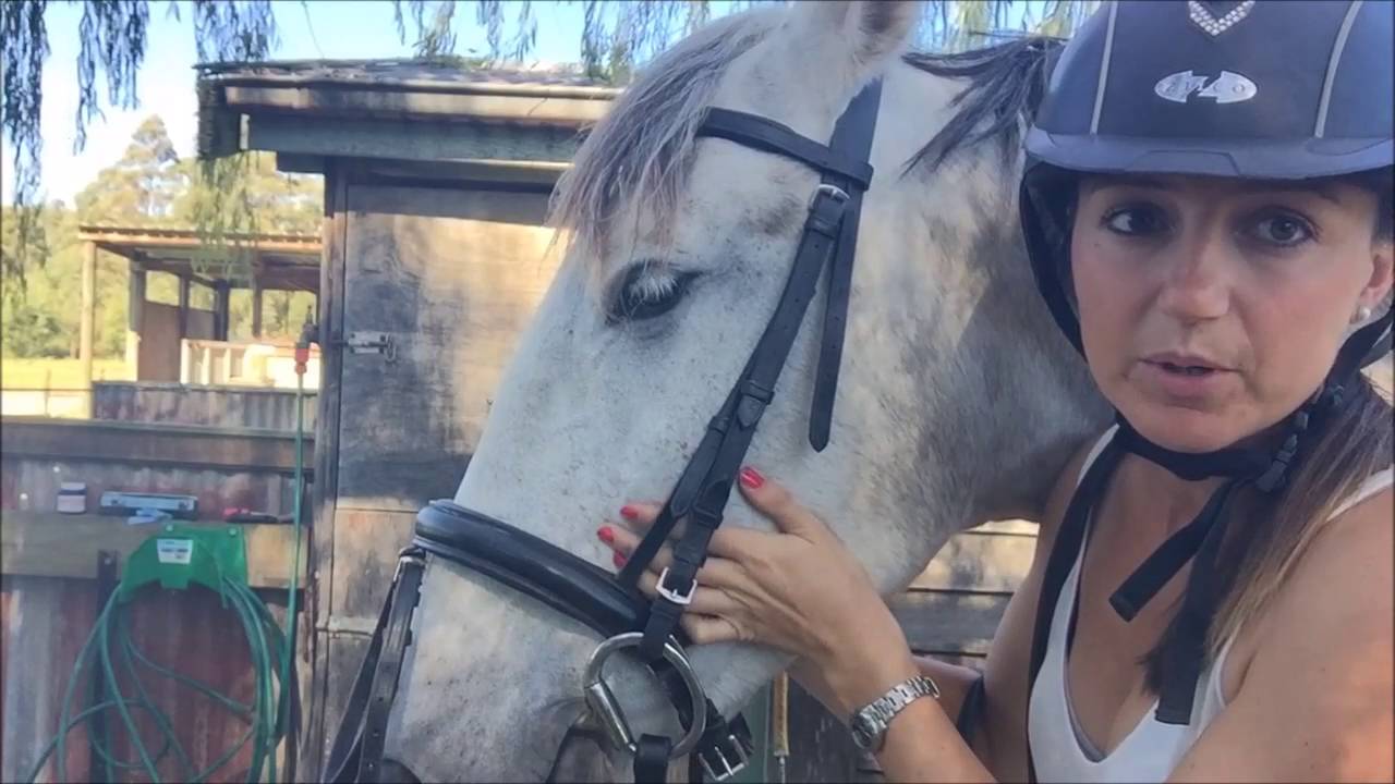 Fitting a Horses Bridle YouTube