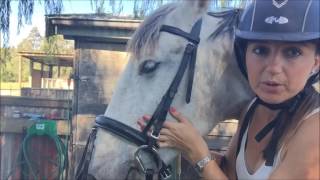 Fitting a Horses Bridle