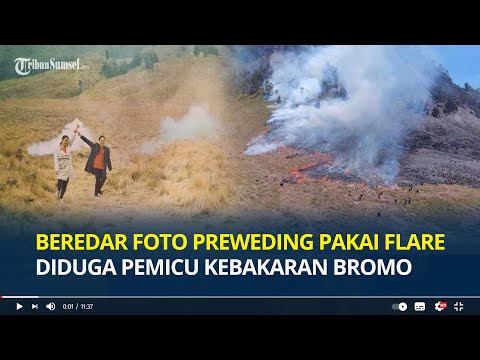 Beredar Hasil Foto Prewedding Pakai Flare Diduga Pemicu Kebakaran Bukit Teletubbies Gunung Bromo