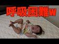 森ケの日常 イヤイヤ期の絶頂を迎えた親玉が一周回っておもろ過ぎるw 森ケの日常 イヤイヤ期の絶頂を迎えた親玉が一周回っておもろ過ぎるw
