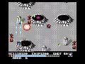 The Guardian Legend Secret Edition (NES) - TGL Mode Corridor 6