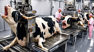 Inside the Grey Brahman Bull Meat Factory | How Meat Biryani Full Process