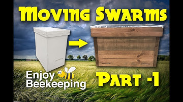 Moving Swarms Part 1