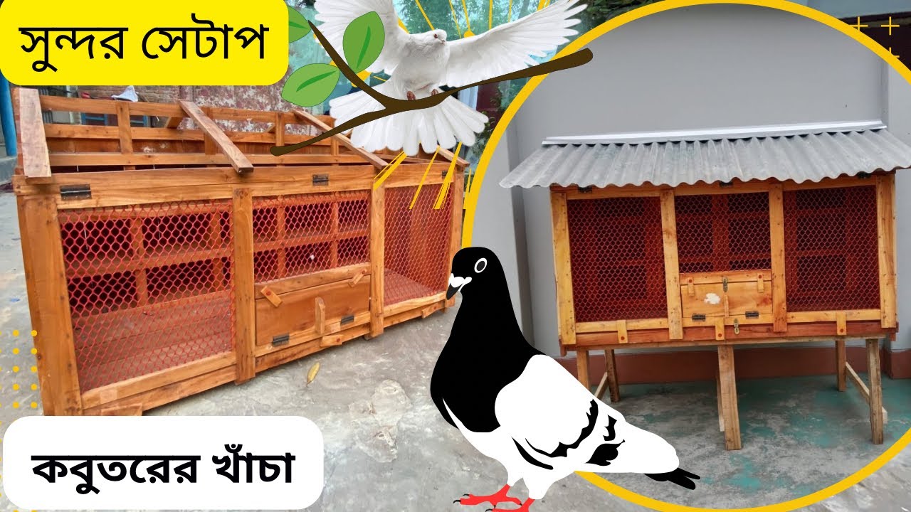 নেট ফিটিং করা কবুতরের খাঁচা|| আবদ্ধ/উনমুক্ত কবুতর পালনে জন্য পরিপুর্ন খাঁচা||