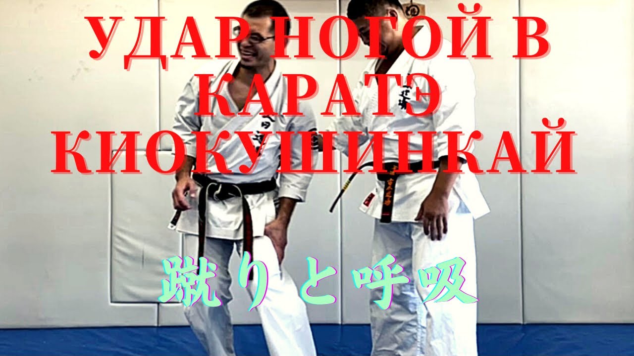 ����������� ������� + ���������� ����-�������: ����.