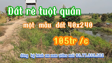 Bán  1 mẫu đất lúa  giá rẻ  tuột quần tại thạnh hóa long an  giá  105tr/c