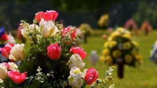 'Dying Green' Explores Conservation Through Natural Burial