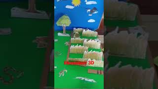 ekosistem 3D, sederhana #shorts #belajarsambilbermain #viralshorts