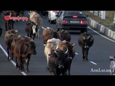 Video: Սբերբանկի քարտեր. ինչպես պարզել կոդը բառը