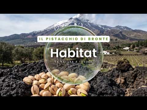 Habitat - Il pistacchio di Bronte