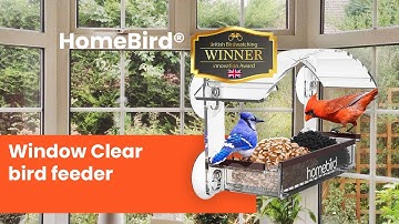 HomeBird Window Bird Feeder