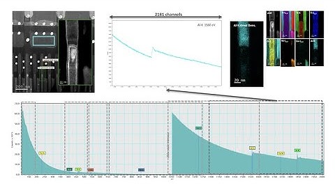 When less is more – Reducing dose, damage, and duration with counted EELS