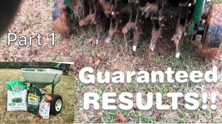 Bermuda Lawn AerationOver Seeding Guaranteed Results