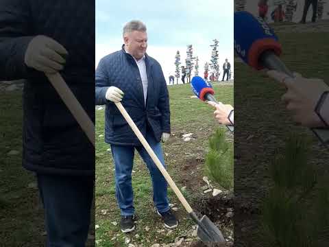 В Пятигорске на вершине Машука традиционно посадили деревья