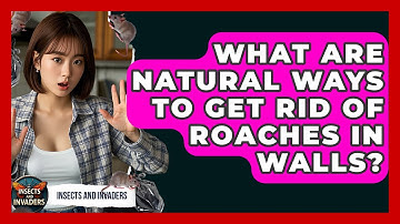 What Are Natural Ways To Get Rid Of Roaches In Walls? - Insects and Invaders