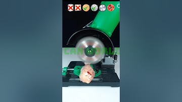 Random video (HAPPY THANKSGIVING GUYZZ)