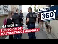 Action 360    s1 e7  suspicion de maltraitance animale  grenoble