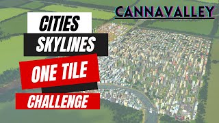 My OneTile Challenge Entry For Vanilla Skylines.#CitiesSkylines #OneTileChallange