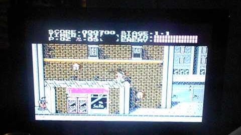 Ninja Gaiden Game Genie (Completely Invinciblity)