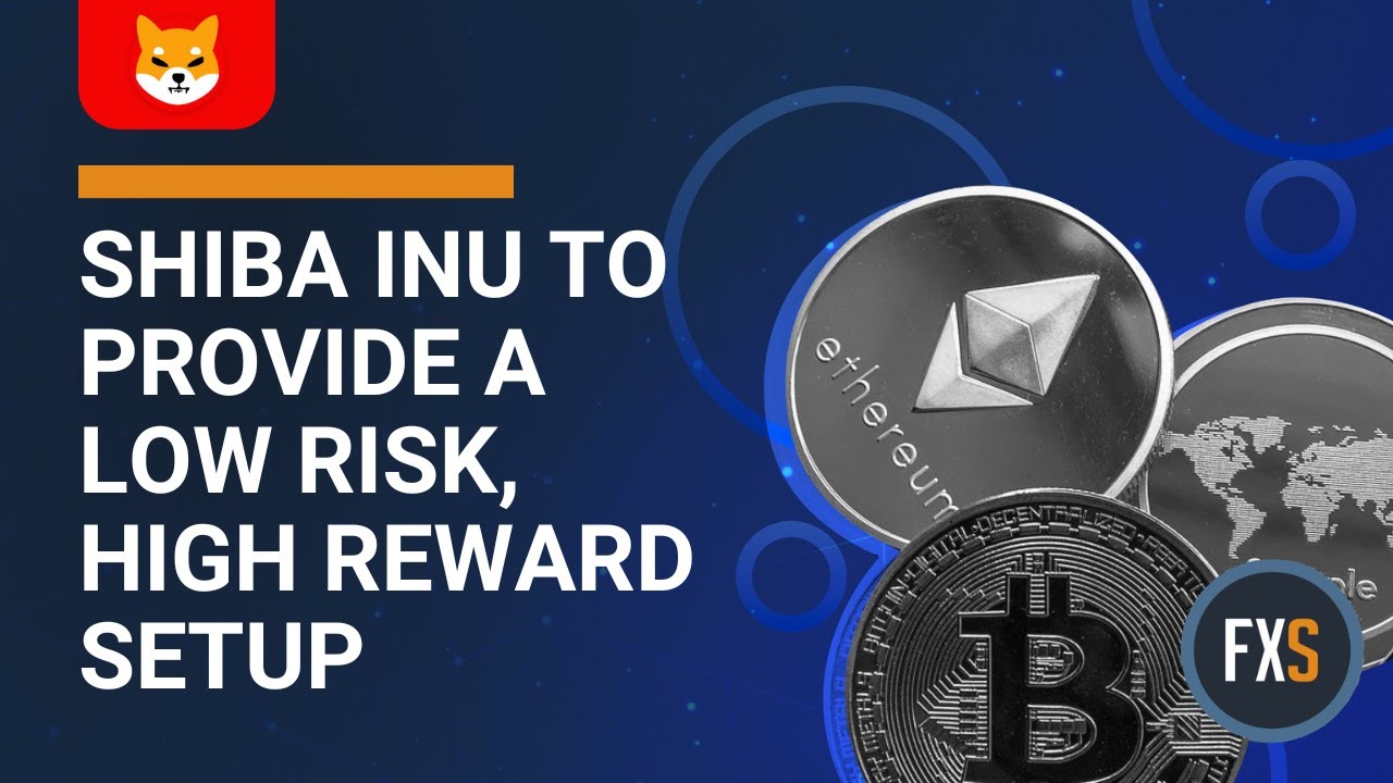 Shiba Inu price to provide a low risk, high reward setup for patient  investors