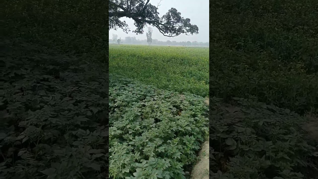 2 फरवरी सन 2026 दिन रविवार दो नौटंकी के लोकेशन आप तक पहुंच रहा है