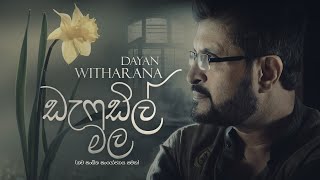 Daffodil Male  - Remake - Dayan Witharana - Chaaminda Rathnasuriya - Magical Lyricism Resimi