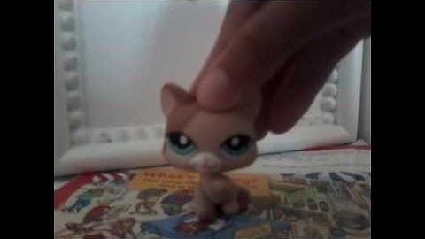 ACNL How to scan QR Codes!