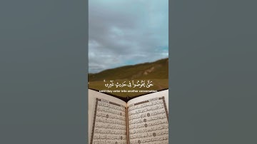 تلاوة جميلة للقارئ عبد الله الموسى أرح سمعك #عبدالله_الموسى #قران #quran