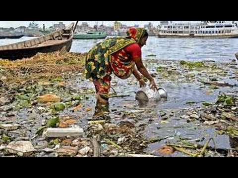 Little Prince Essay Water Pollution What Is Water Pollution Poverty Of And Water Pollution What Is Water Pollution Poverty Get Your Essay Written For You also Cat Essay Writer Essay On Water Pollution In India Major Causes Of Water Pollution In John Proctor Tragic Hero Essay