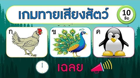 เกมทายเสียงสัตว์ จำนวน 10 ข้อ | Learn and song
