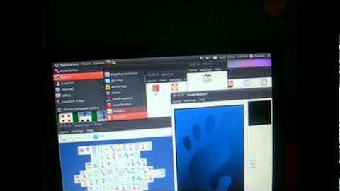 Ubuntu 10.10 on SSDs