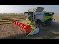 New Claas Lexion 6800 Terra Trac | Harvest 2021 | Pure sound