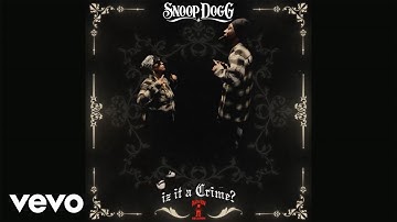 Snoop Dogg - Intro (Visualizer)