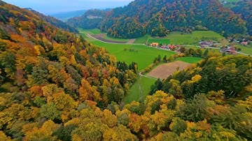 Hypnotised by Autumn | FPV over Lindental BE, Vechigen, Switzerland 🍂🇨🇭