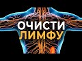 Два упражнения для оттока лимфы / Лимфатическая система скажет вам СПАСИБО!