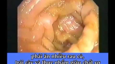 Sức khỏe đường ruột