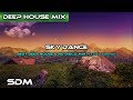 Skydance  best deep house  nu disco mix pt3 2017