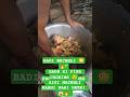 🐟😱Badi Machhli Cooking 😳🔥 Gaon Style Fish Banai |#shorts#short#viralvideo#viral#vlog#youtubeshorts