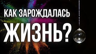 Как зарождается жизнь? | Продукт продлевающий жизнь