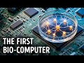 Scientists Built a Computer Using Human Tissue