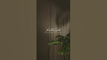 سورة الكوثر/#عبدالرحمن_مسعد #quran #allah #قران_كريم