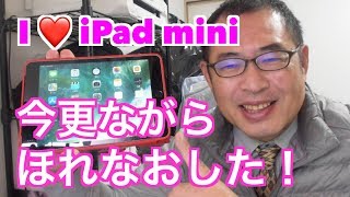 【iPad mini】今更ながらほれなおした！
