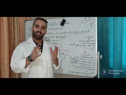 مقالة قيمة الفلسفة بالنسبة للعلم لكل الشعب هل يمكن الاستغناء عن الفلسفة في ظل التطور العلمي